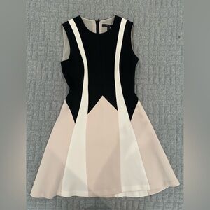 BCBGMaxAzria Colorblock Fit-and-Flare Dress in Black, White, and Blush